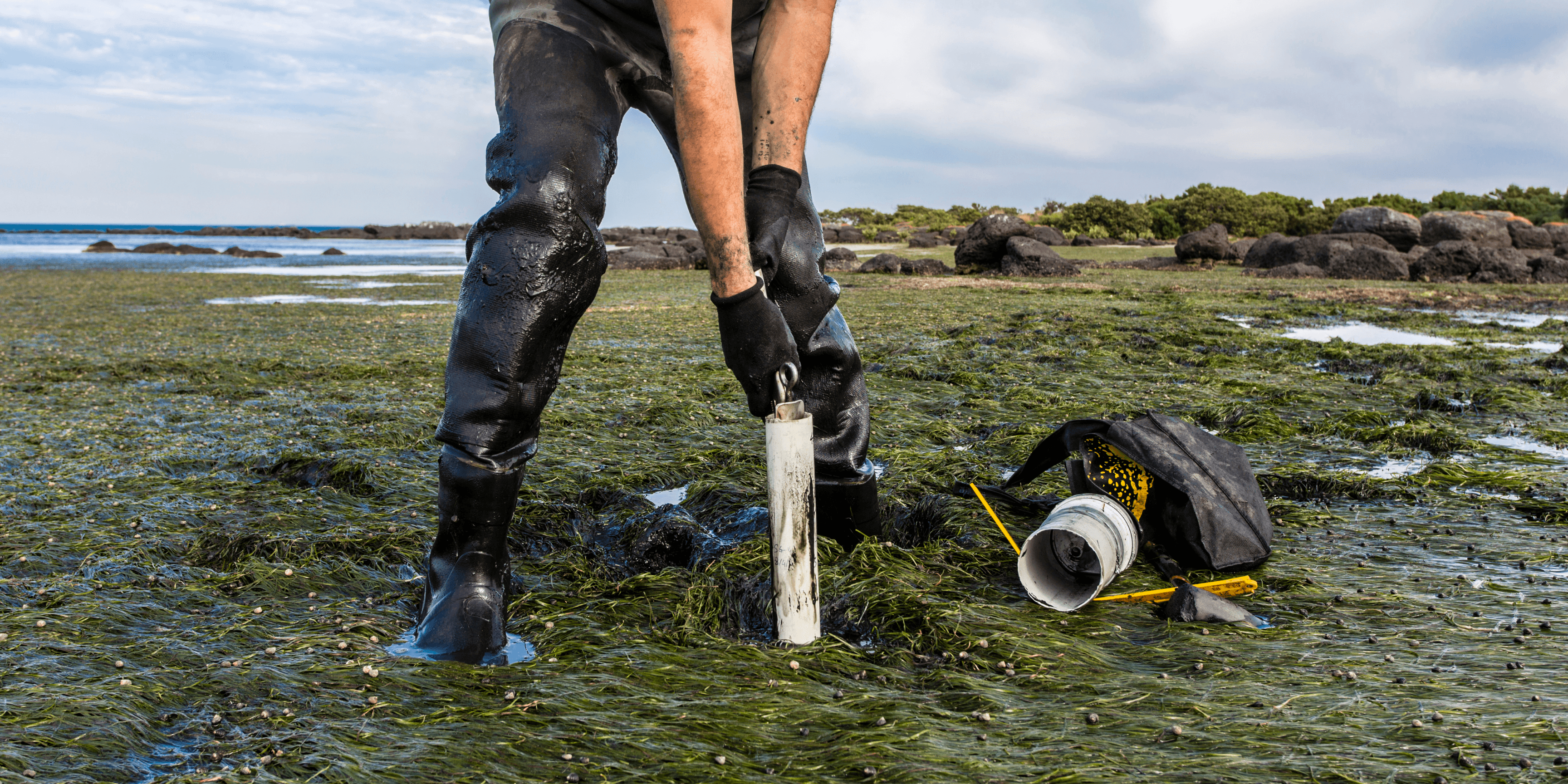 Carbon Sequestration: The Costly Challenge of Capturing and Storing Carbon - pitod.live