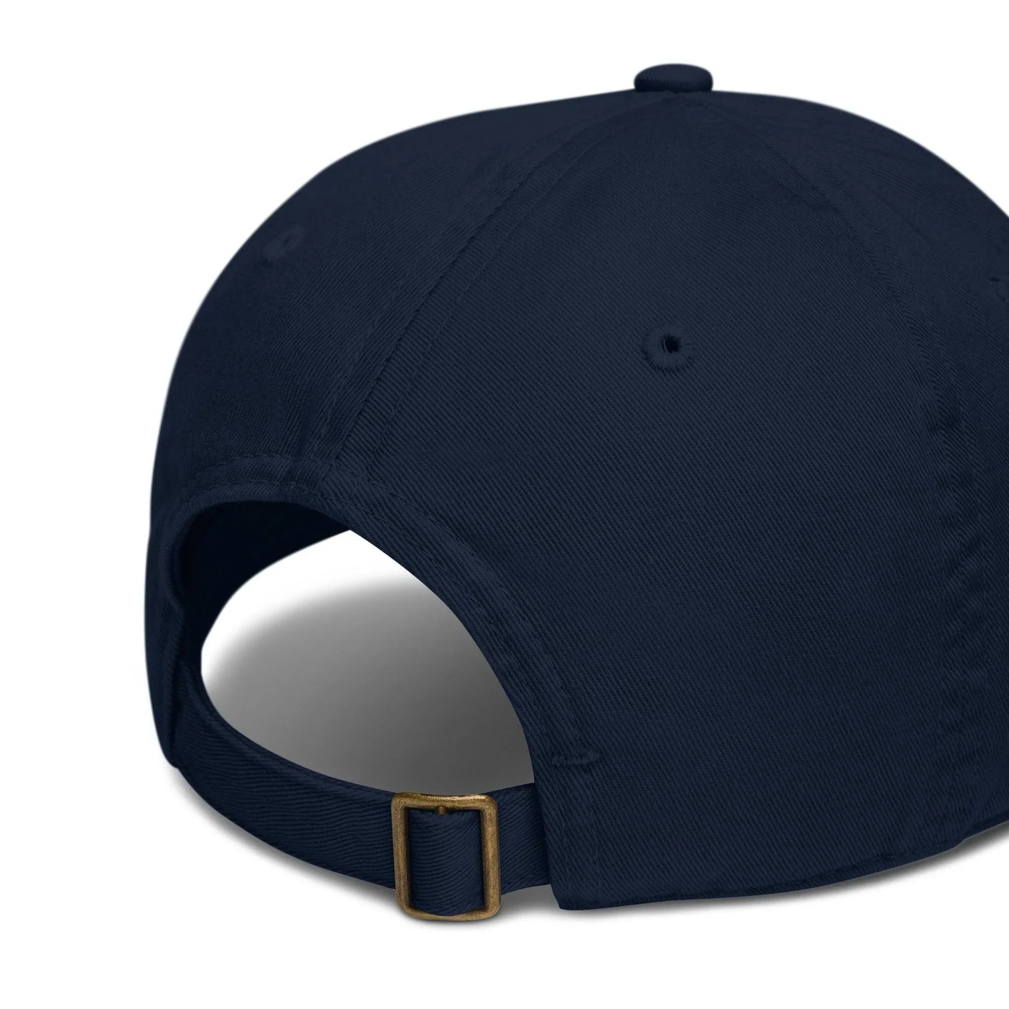 Pitod Baseball Cap | Hats | pitod.live